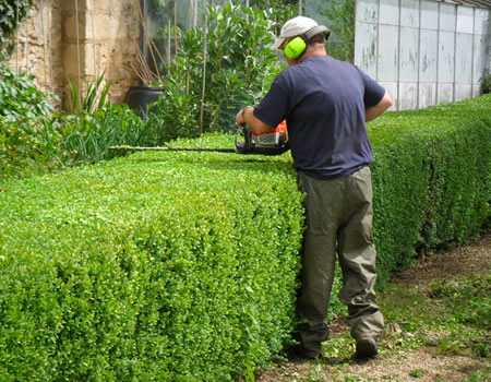 Mantenimiento de Jardines — Limpiezas MadridPlus